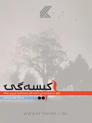کیسه ګۍ