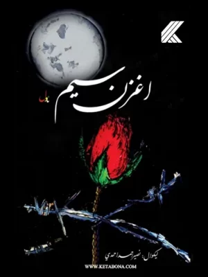 اغزن سیم - ناول