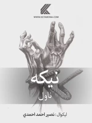 نیکه - ناول