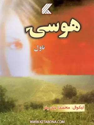 هوسۍ - ناول