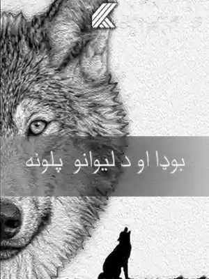 بوډا او د لیوانو پلونه (ناول)