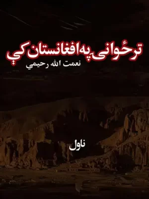 پښتو ناولونه کتابونه - تر ځوانۍ په افغانستان کې - ناول