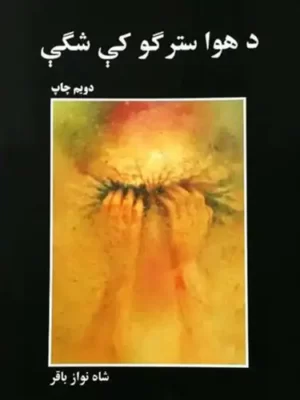 پښتو شعرونه - د هوا سترګو کې شګې