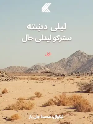 لیلی دښته ، سترګو لیدلی حال