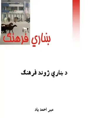ښاري فرهنګ