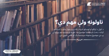 د ناول د لیکلو او لوستلوادبیات له ډېرو پخوا زمانو د انسانانو لپاره د بحث او بوختیا موضوع وه، خو په وروستیو دوو پېړیو کې پر دې موضوع بحثونه سیستماتیک او علمي شوي دي. پخوا به یې یوازې شعر ممتاز ادبي فعالیت باله.